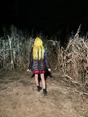 Panty Anarchy preview 2