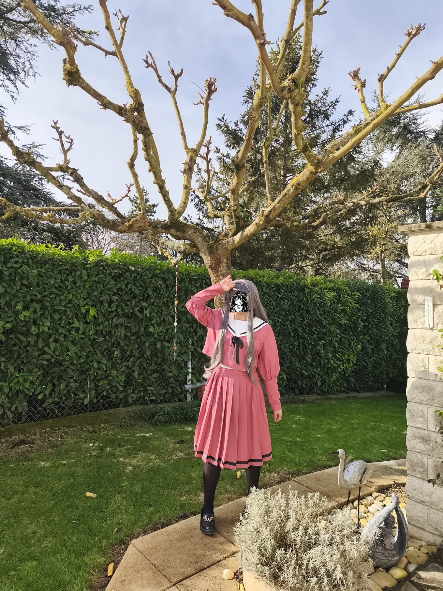 The Fragrant Flower Blooms with Dignity