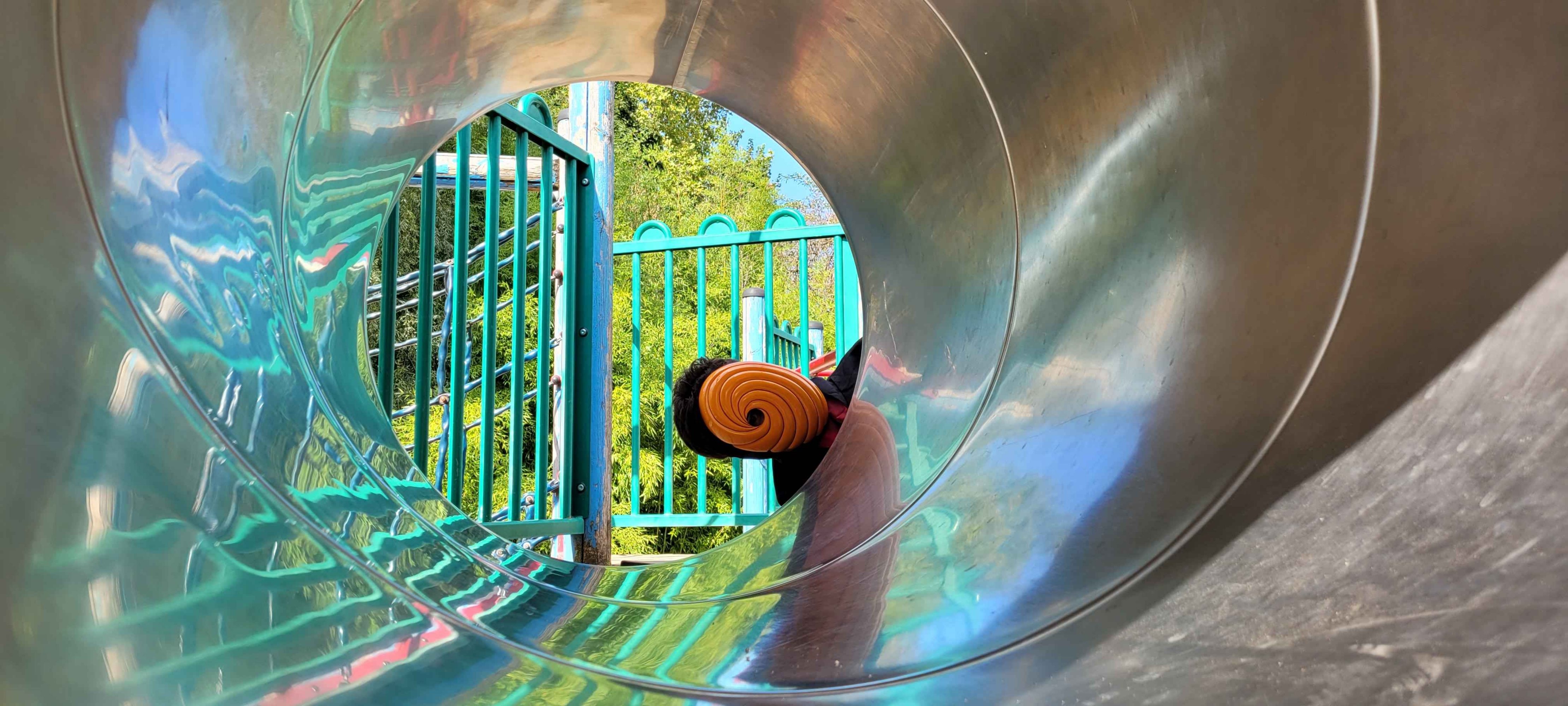 Tobi — photo 5