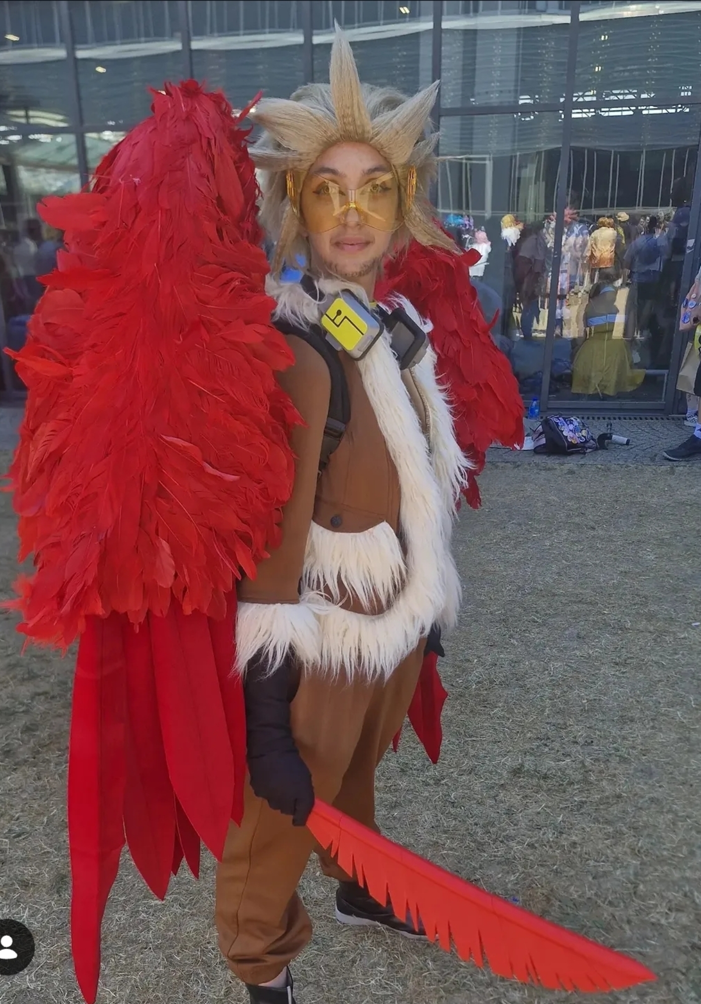 Hawks — photo 138