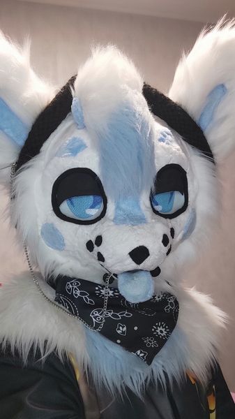 Shysako.fur - Kaito