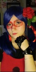 Ladybug preview 3