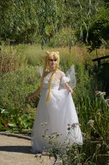 Princesse Serenity preview 2