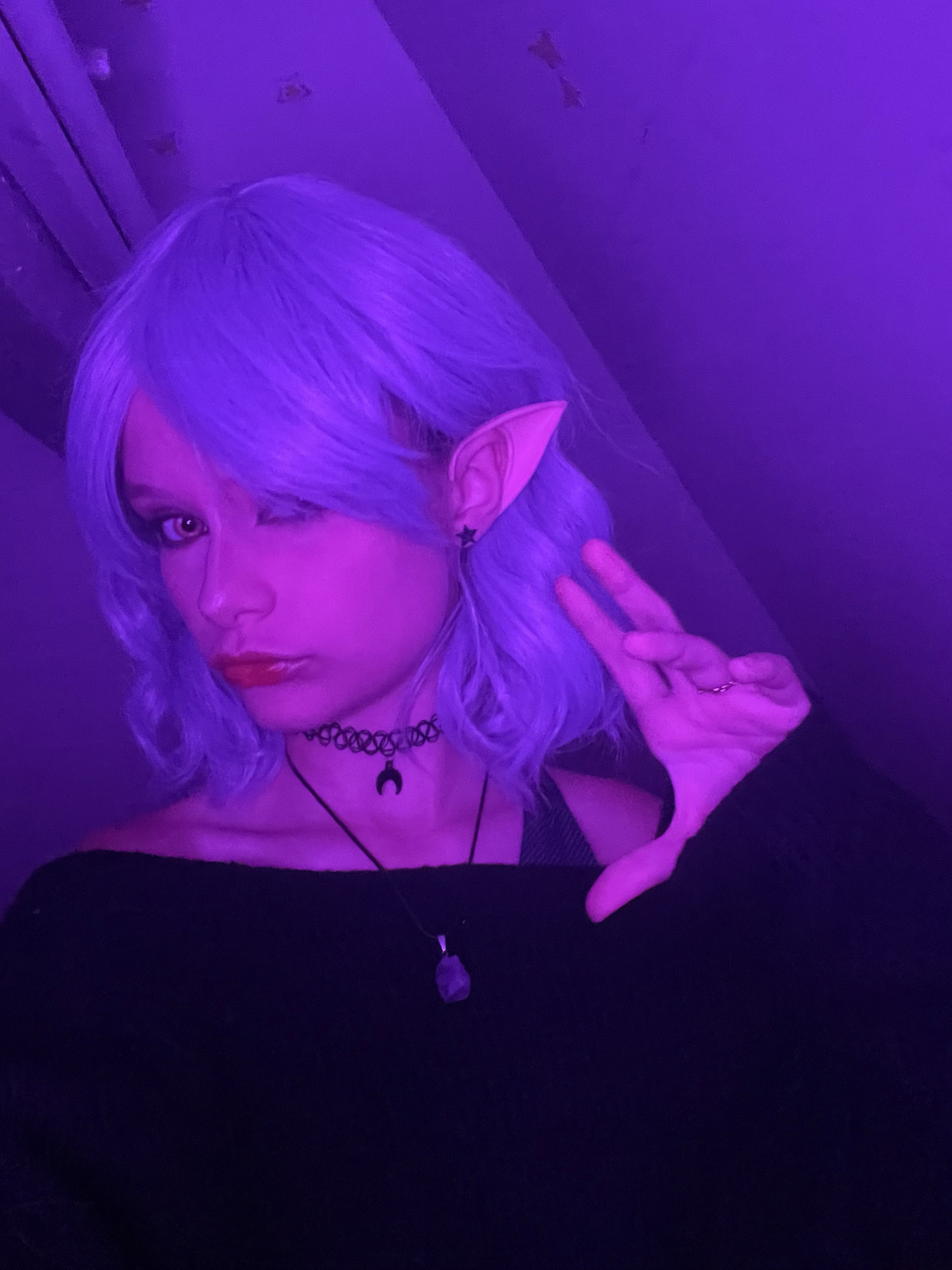 Amity blight  - Photo 5