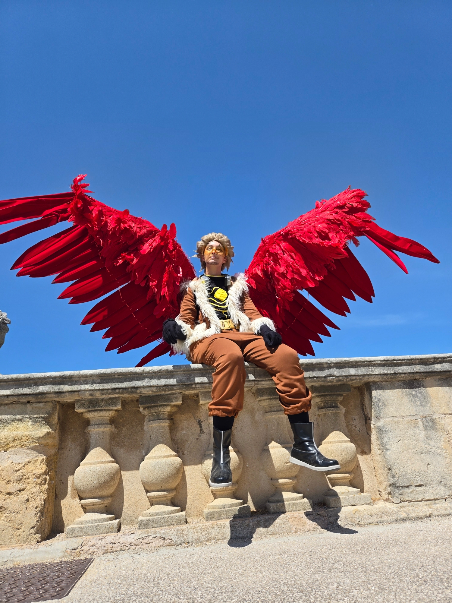 Hawks, photo 264