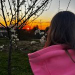 Tess_user