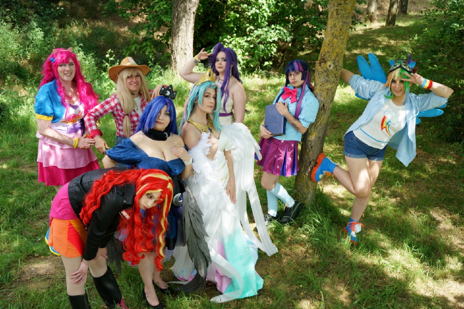 Mlp - Photo 10