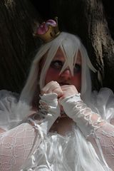 Booette preview 2