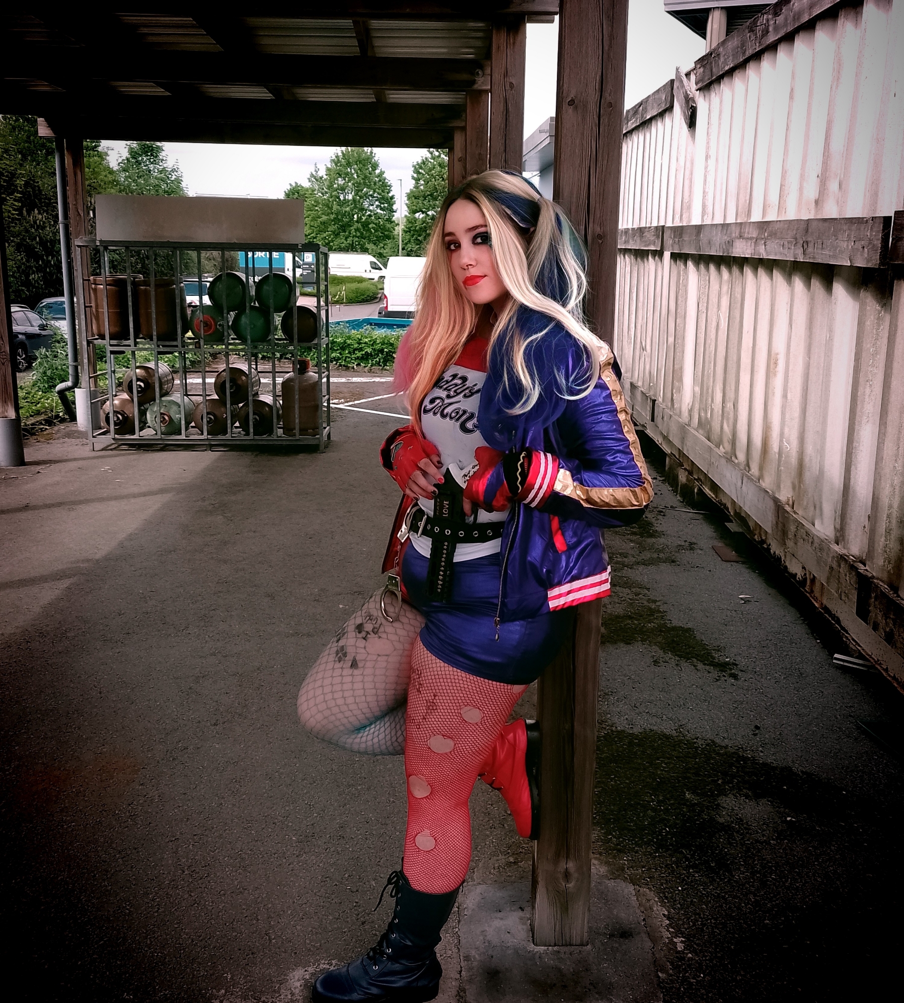 Harley Quinn — photo 6