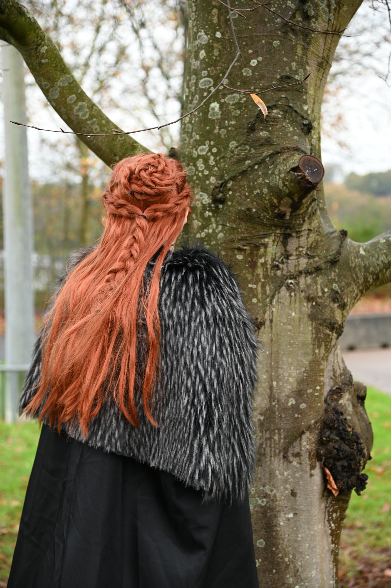 Sansa Stark — photo 5