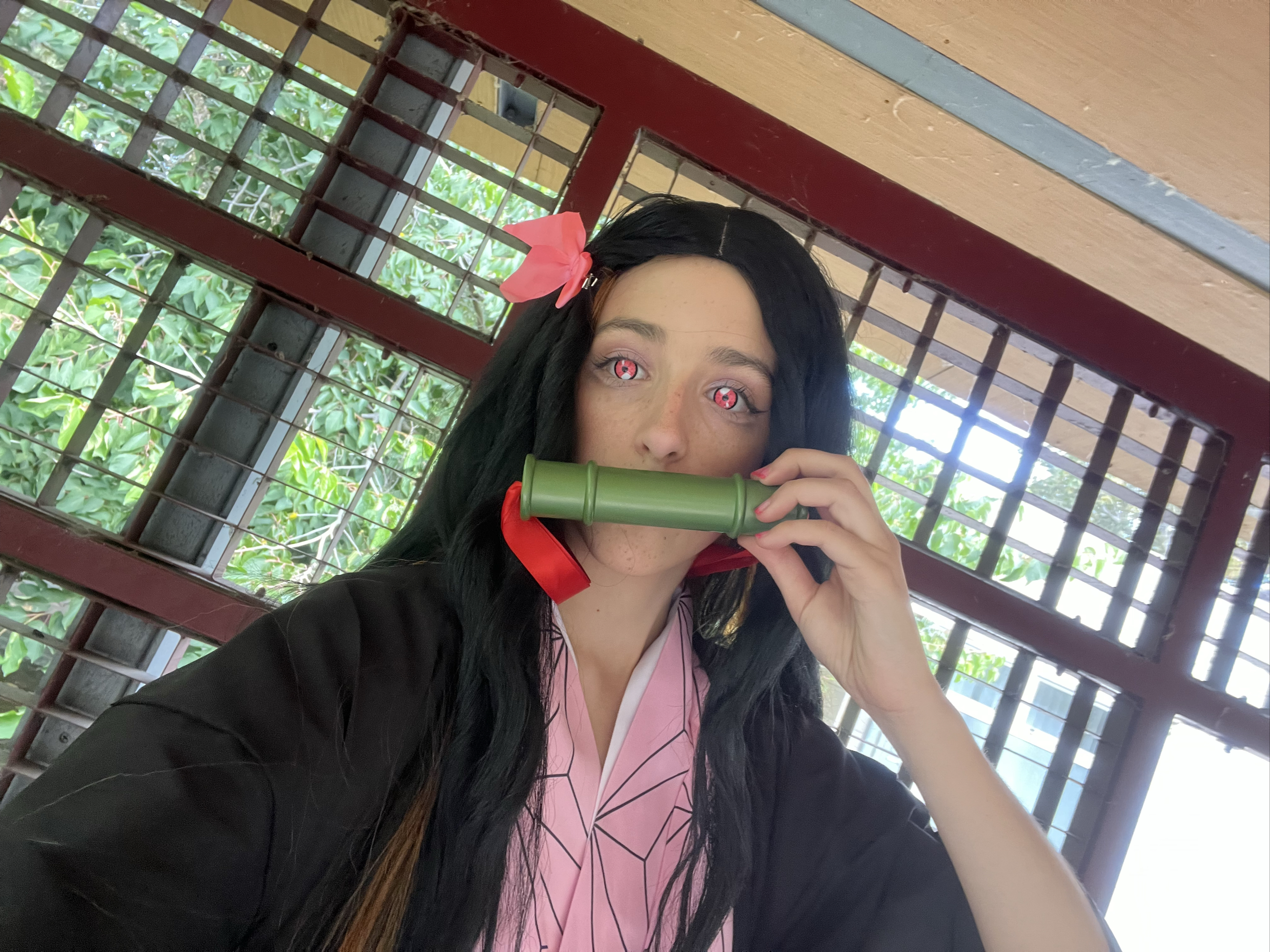 Nezuko — photo 6