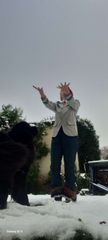Shoto Todoroki preview 2
