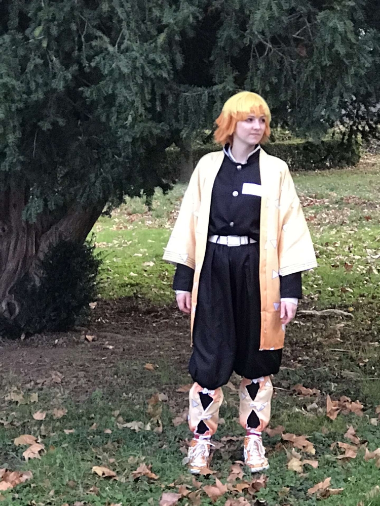 Zenitsu Agatsuma  - Photo 15