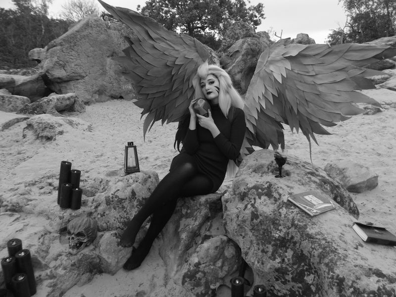 Séléné – Harpy Eda