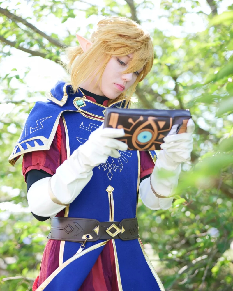 Link royal guard — photo 6
