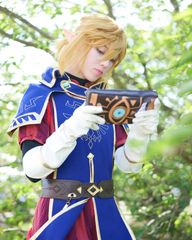 Link royal guard preview 3