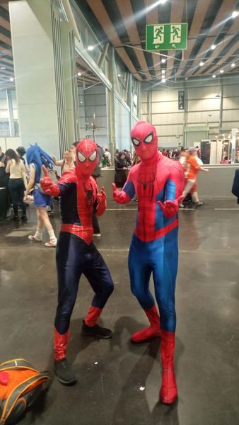 Spidertaker.cosplay - GD Lille mai 2026