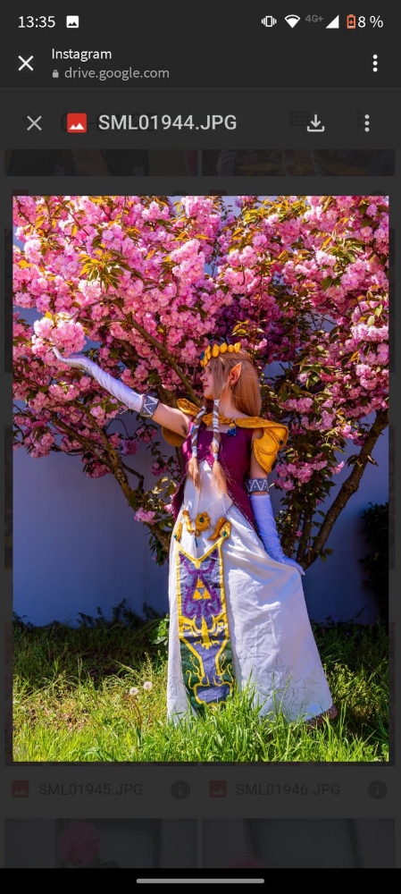 Zelda — photo 5
