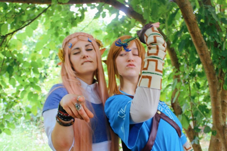 Lhyliart - Link (Botw)
