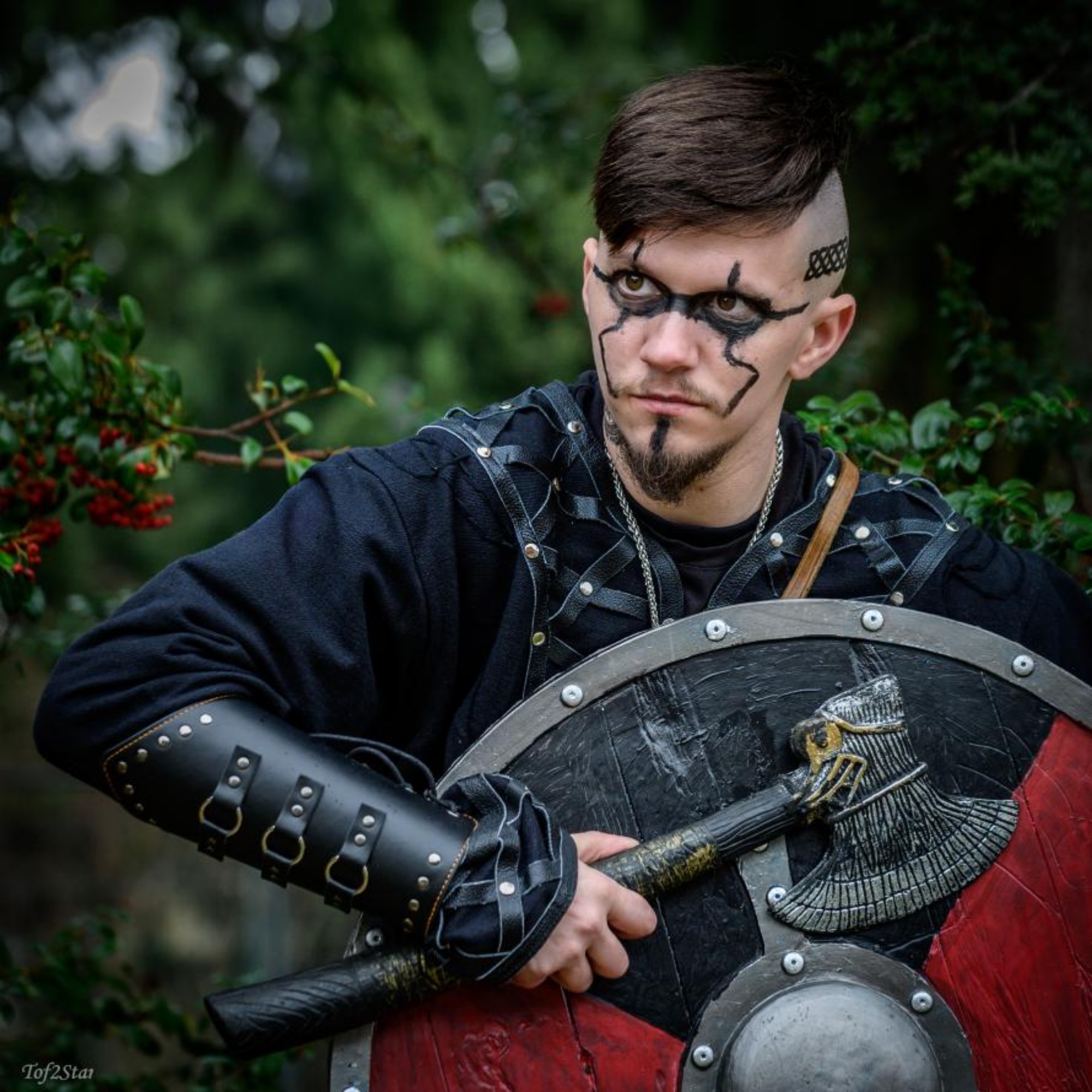 Viking, photo 12