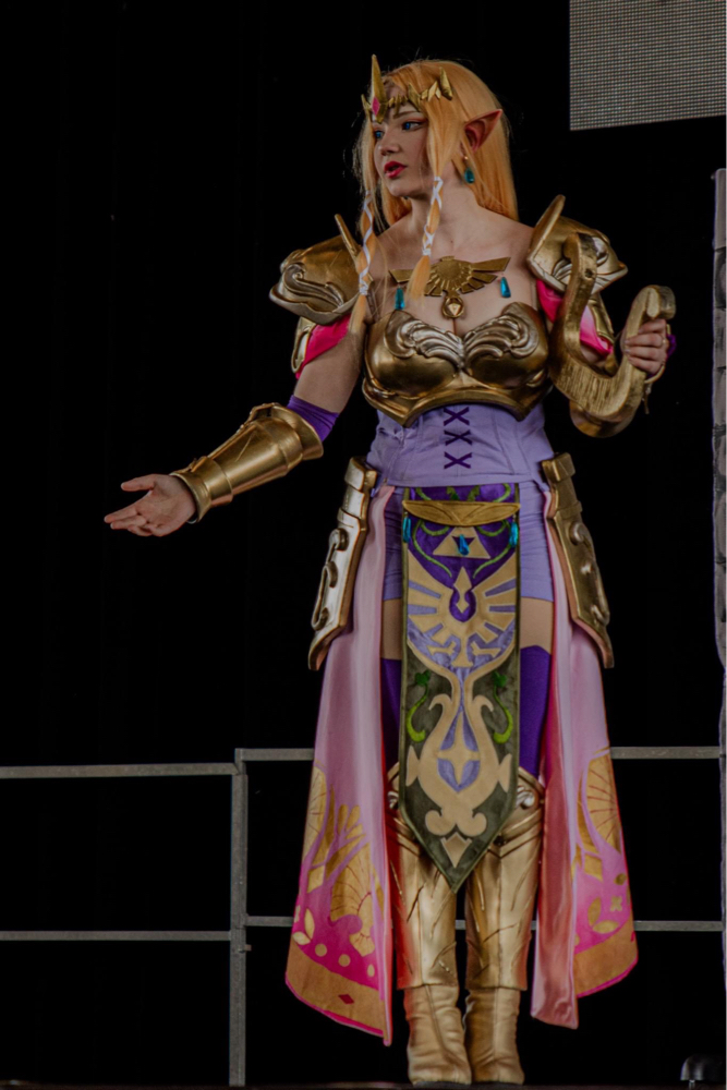 ⭐️ Zelda ⭐️ - Photo 4