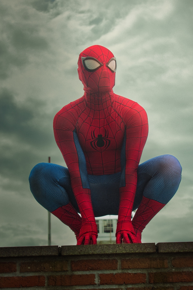 Spidey & Capt Marvel - Photo 8