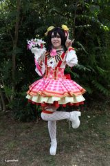 Nico FB preview 2