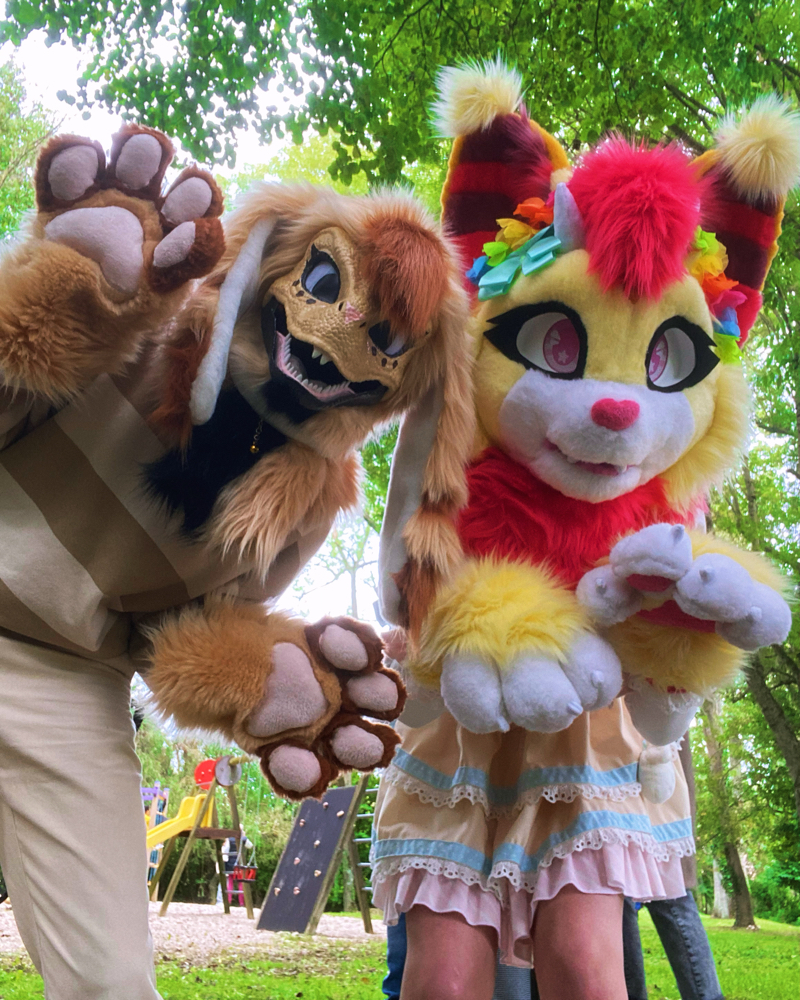 Photos Tapioca - Photo 13