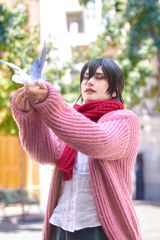 Mikasa final preview 3