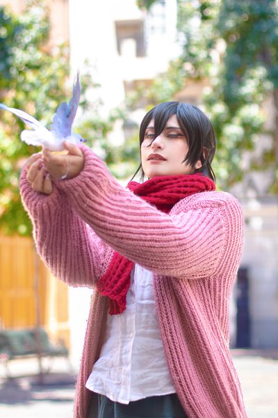 Akai.nya, Mikasa final