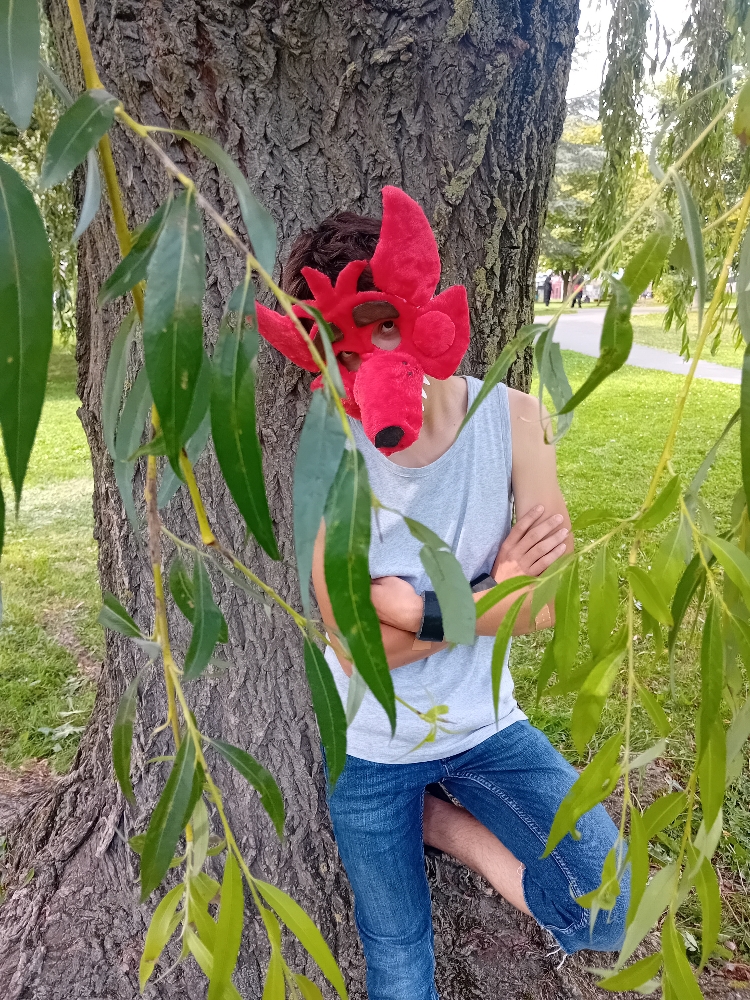 Orchies Festival - Photo 5