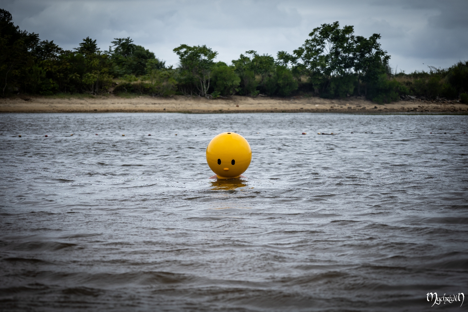Pieyon à la plage 1 — photo 7