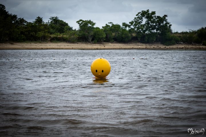 Pieyon à la plage 1