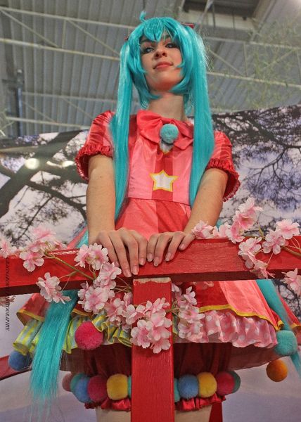 Hotaru - Miku wxs