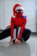 Spider-Man Tom H preview 3