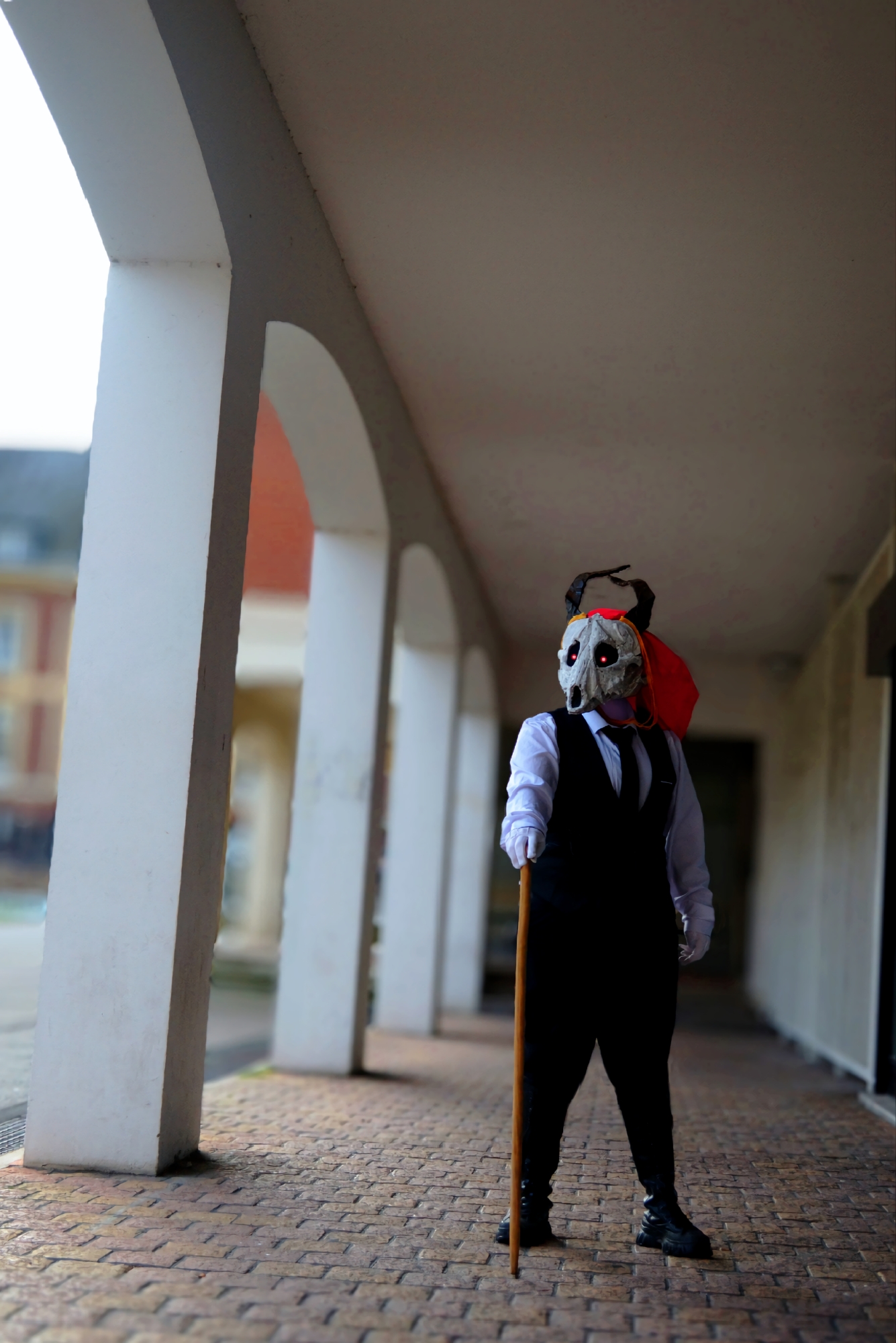 Elias — photo 11