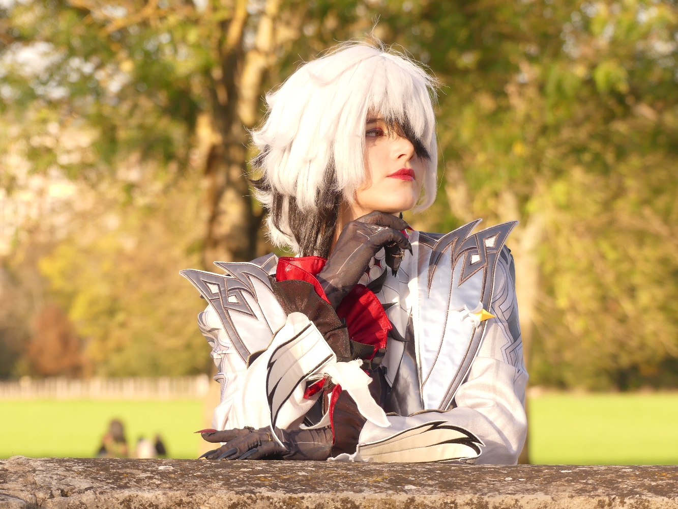 Arlecchino  - Photo 10