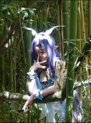 Lauma preview 2
