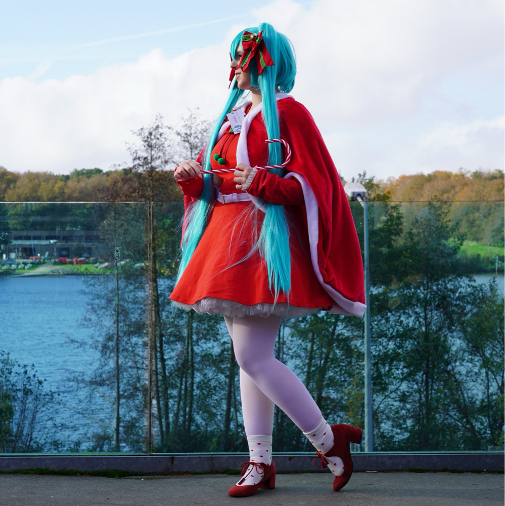 Miku Christmas — photo 8