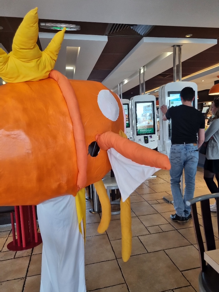 Magicarpe à Macdo - Photo 16