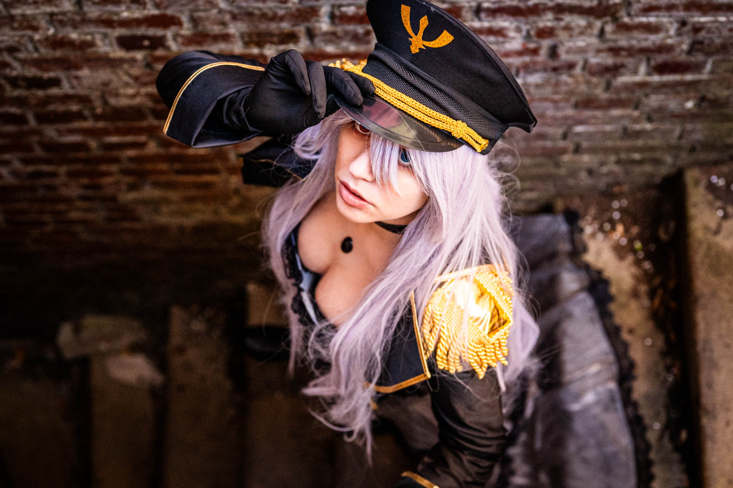 Black lobelia  - Photo 16