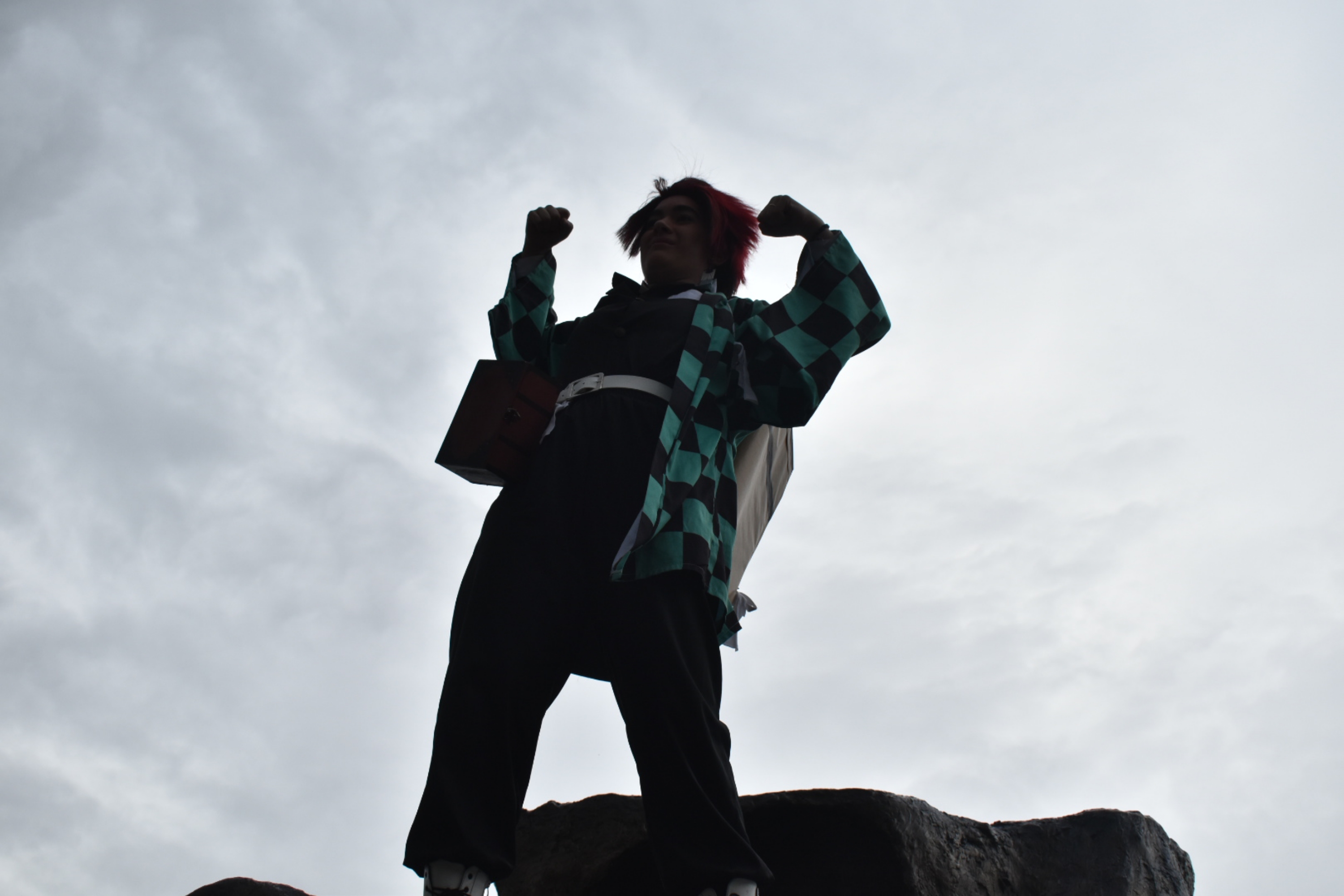 Tanjiro kamado — photo 15