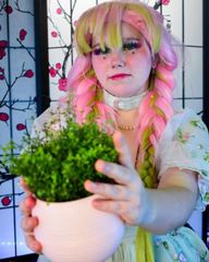 Mitsuri (casual) preview 3