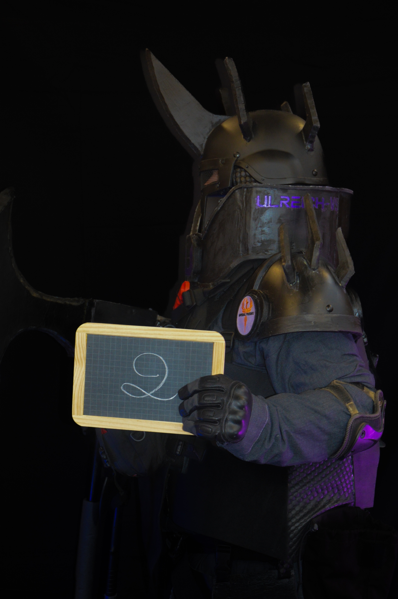 Ulreich Conventions - Photo 49