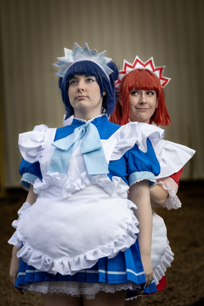 Ichigo — photo 5