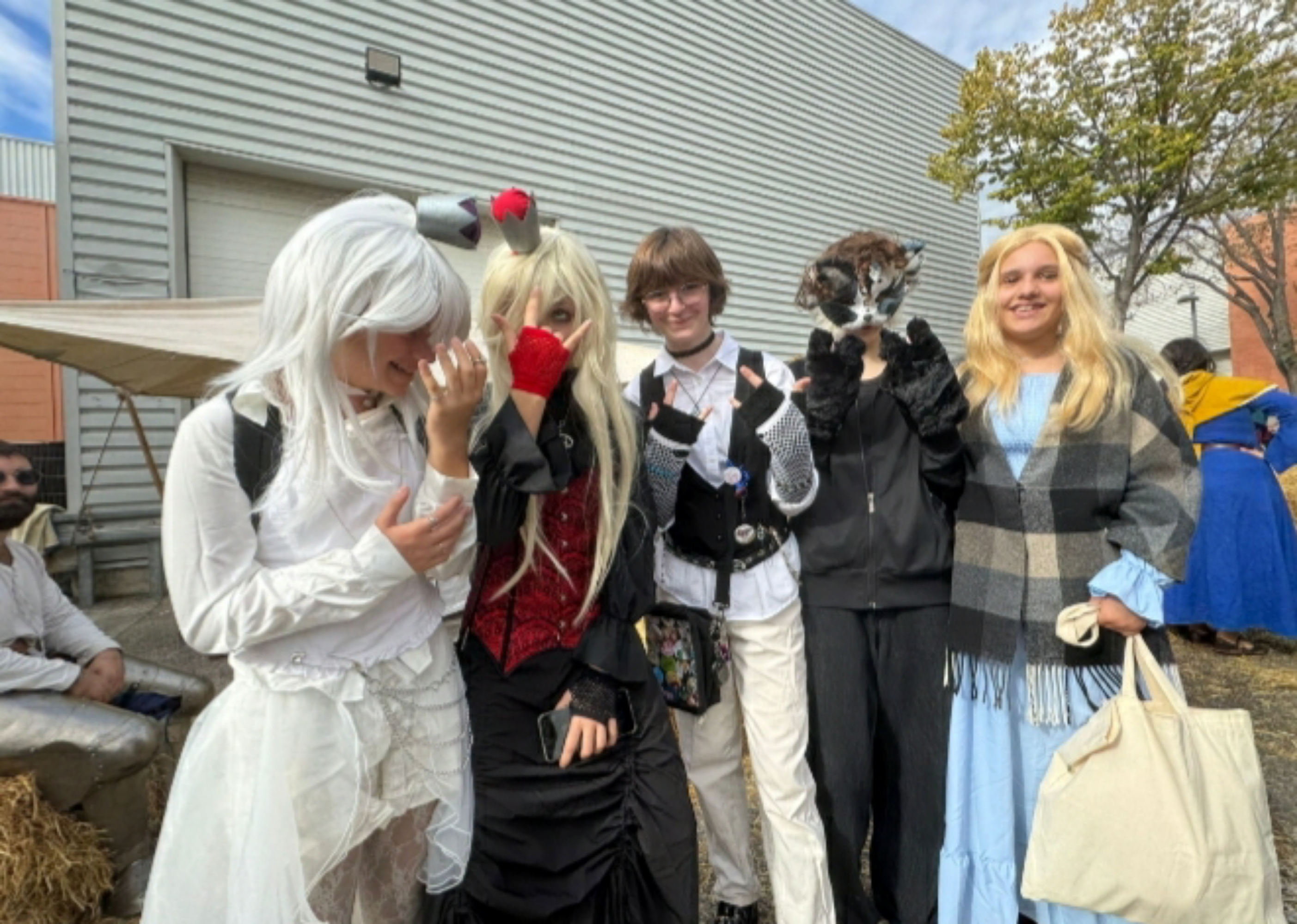 Hero festival — photo 46