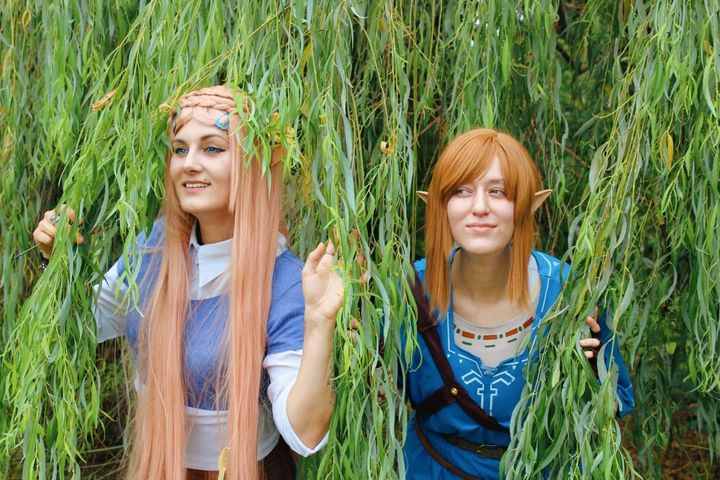 Link (Botw)