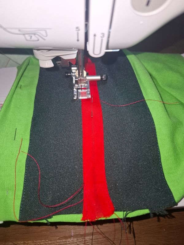 R-cos – WIP Head lady in waiting