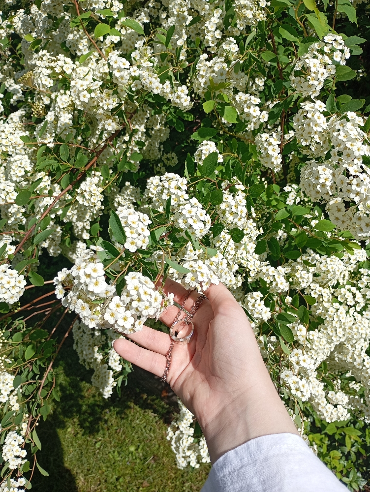 Xie Lian!!  - Photo 5