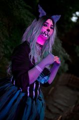 Chat du Cheshire preview 3